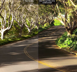 Maui PolarizedPlus2 lenti polarizzate per una efficace percezione dei colori